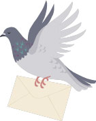 Messenger Pidgeon